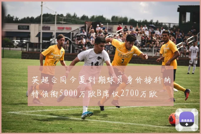 英超合同今夏到期球员身价榜科纳特领衔5000万欧B席仅2700万欧